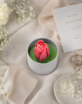 First Kiss